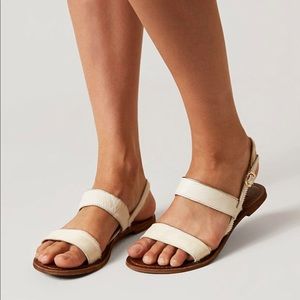 Freebird by Steven Aruba Sandals